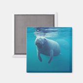 Florida Manatee Magnet (Vorderseite/Rückseite)