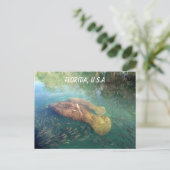 Florida Manatee und Baby Postkarte (Stehend Vorderseite)