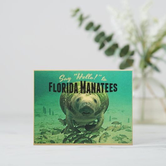 Florida Manatees Postkarte (Stehend Vorderseite)