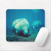Florida-Manatis Mousepad (Mit Mouse)
