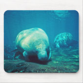Florida-Manatis Mousepad (Vorne)