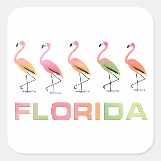 FLORIDA - Marching Tropical Flamingos Quadratischer Aufkleber (Vorderseite)