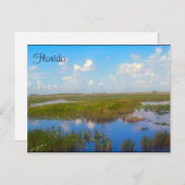 Florida Marsh Postcard Postkarte (Vorne/Hinten)