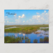 Florida Marsh Postcard Postkarte (Vorderseite)