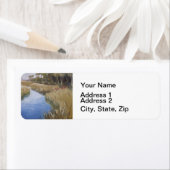 Florida marshland Wildgras und Palmen (Insitu)