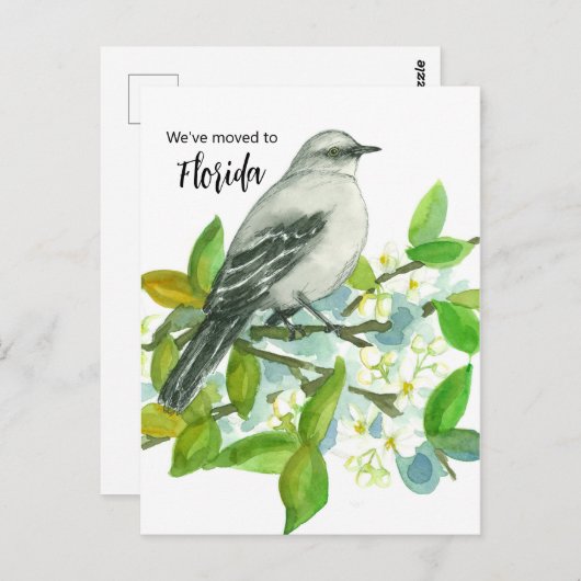 Florida Mockingbird Sunshine Postkarte (Vorne/Hinten)