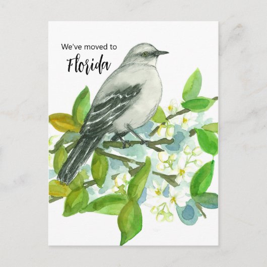 Florida Mockingbird Sunshine Postkarte (Vorderseite)
