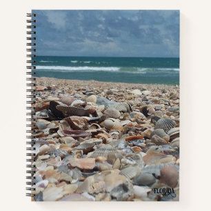 Florida-Muschel Atlantik Ozean Strand Natur Foto Notizblock