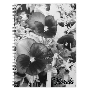 Florida Natur Foto Künstlerisches Monochrom Stiefm Notizblock