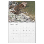 Florida-Natur-Kalender 2009 Kalender (Feb 2027)