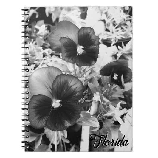 Florida Nature Foto Artistic Monochrome Pansy Notizblock (Vorderseite)