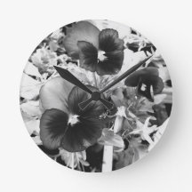 Florida Nature Foto Artistic Monochrome Pansy