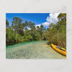 Florida Naturpostkarte Postkarte