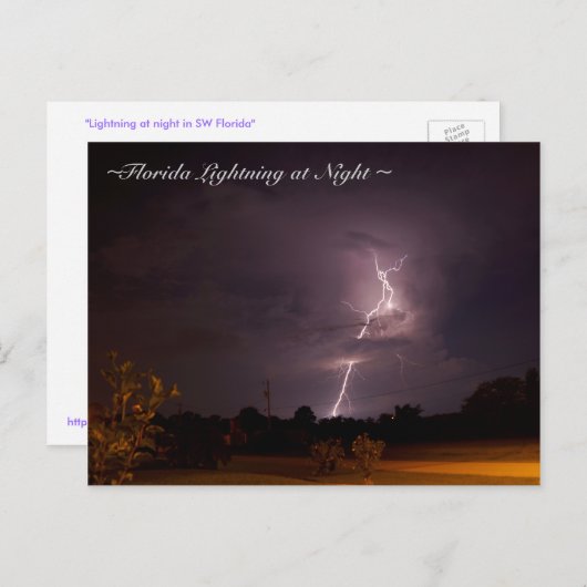 Florida Night Lightning Postkarte (Vorne/Hinten)