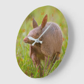 Florida Nine-banded armadillo close-up Große Wanduhr (Winkel)