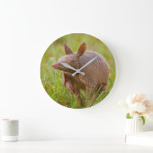 Florida Nine-banded armadillo close-up Große Wanduhr (Zuhause)