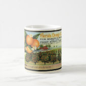 Florida Orange Candy Kaffeetasse (Mittel)