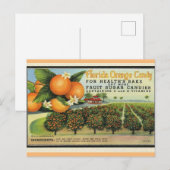 Florida Orange Candy Postkarte (Vorne/Hinten)