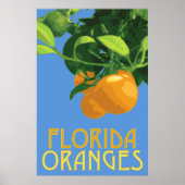 Florida Orange Fruit Poster 24 x 36 (Vorne)