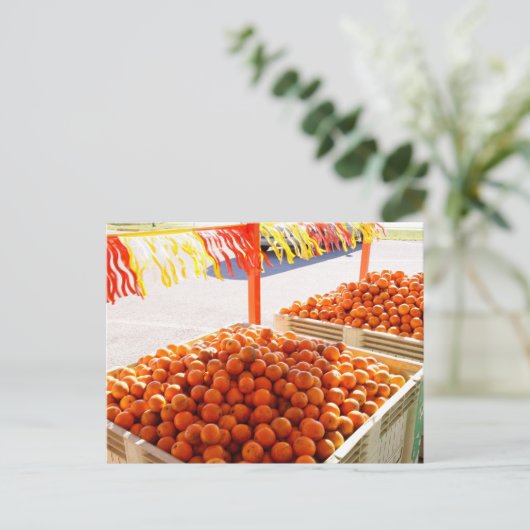 Florida Orange Postkarte (Stehend Vorderseite)