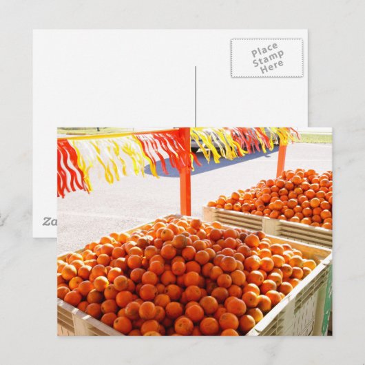 Florida Orange Postkarte (Vorne/Hinten)