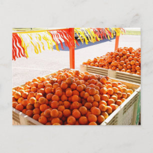Florida Orange Postkarte