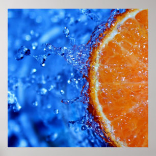 Florida Orange Splash Poster