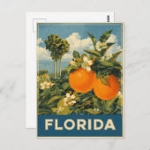 Florida Orange Vintage Travel Postkarte (Vorne/Hinten)