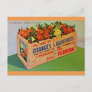 Florida Orangen und Grapefruit-Kiste Postkarte