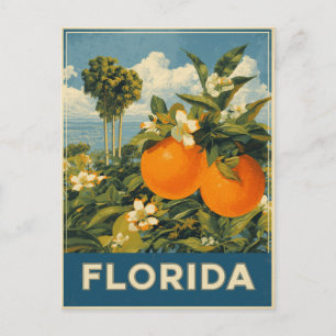Florida Orangen Vintage Reise Postkarte