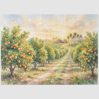 Florida-Orangenhain-Aquarell Seidenpapier
