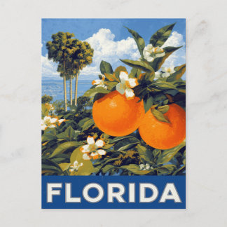 Florida Oranges Vintage Travel Postkarte