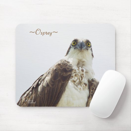 Florida Osprey Mousepad (Mit Mouse)