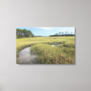 Florida Palencia Leinwand
