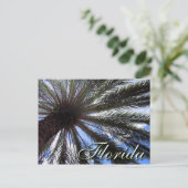 Florida Palm Postkarte (Stehend Vorderseite)