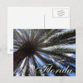 Florida Palm Postkarte (Vorne/Hinten)