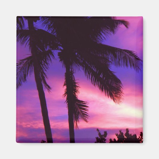Florida Palm Sunset Magnet (Vorne)