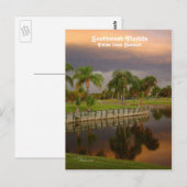 Florida Palm Tree Sunset Postcard Postkarte (Vorne/Hinten)