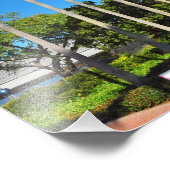 Florida Palm Trees Fotodruck (Ecke)