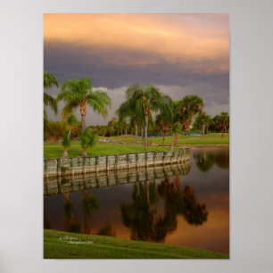 Florida Palme Reflektion Poster