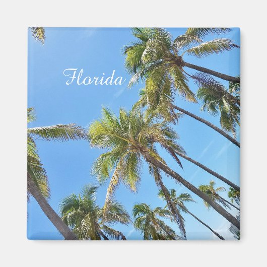 Florida-Palmen-Magnet Magnet (Vorne)