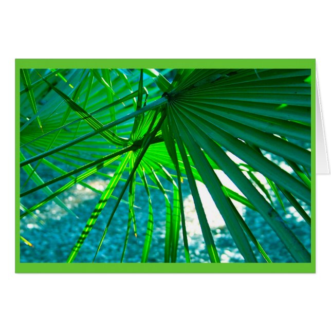 Florida Palms (Vorderseite (Horizontal))