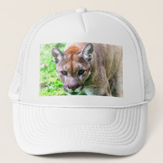 FLORIDA PANTHER BASEBALLCAPPE ODER HUT TRUCKERKAPPE
