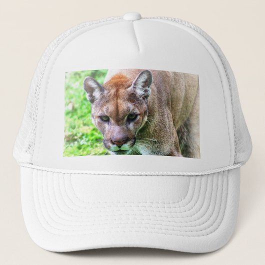 FLORIDA PANTHER BASEBALLCAPPE ODER HUT TRUCKERKAPPE (Vorderseite)