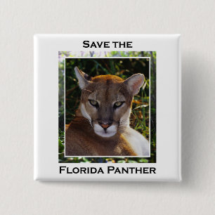 Florida-Panther Button