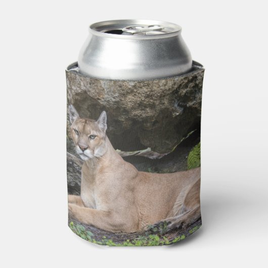 Florida Panther Can Cooler Dosenkühler (Kanne Vorderseite)