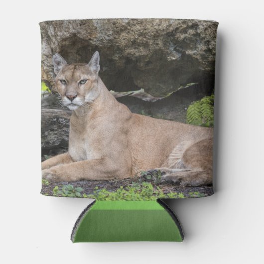 Florida Panther Can Cooler Dosenkühler (Vorderseite)