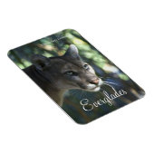 Florida Panther, Everglades Ntl. Park Magnet (Rechte Seite)
