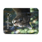 Florida Panther, Everglades Ntl. Park Magnet (Horizontal)