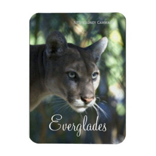 Florida Panther, Everglades Ntl. Park Magnet